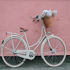 Dalmia Cycles