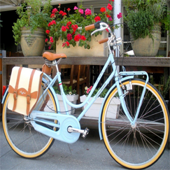Dalmia Cycles