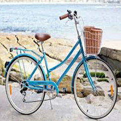 Dalmia Cycles